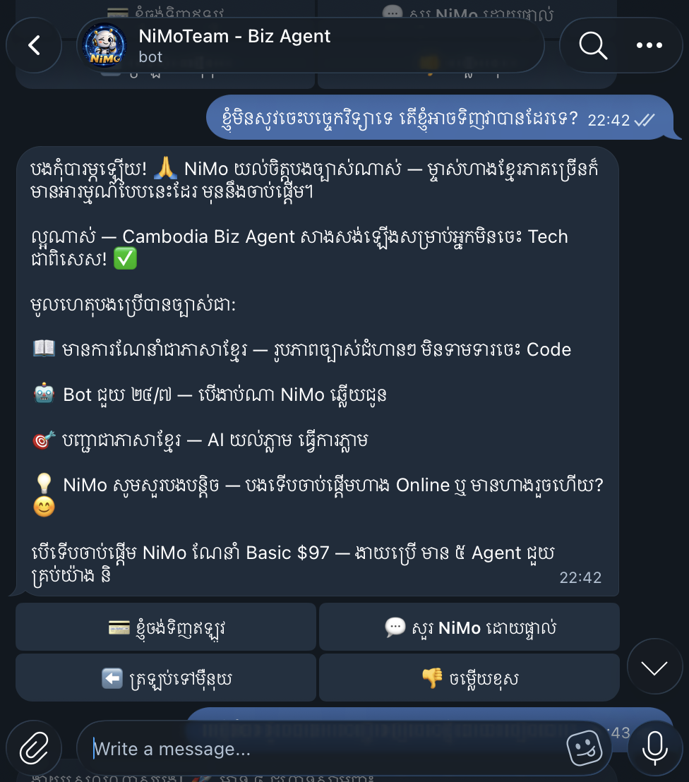 Bot ណែនាំ — Cambodia Biz Agent