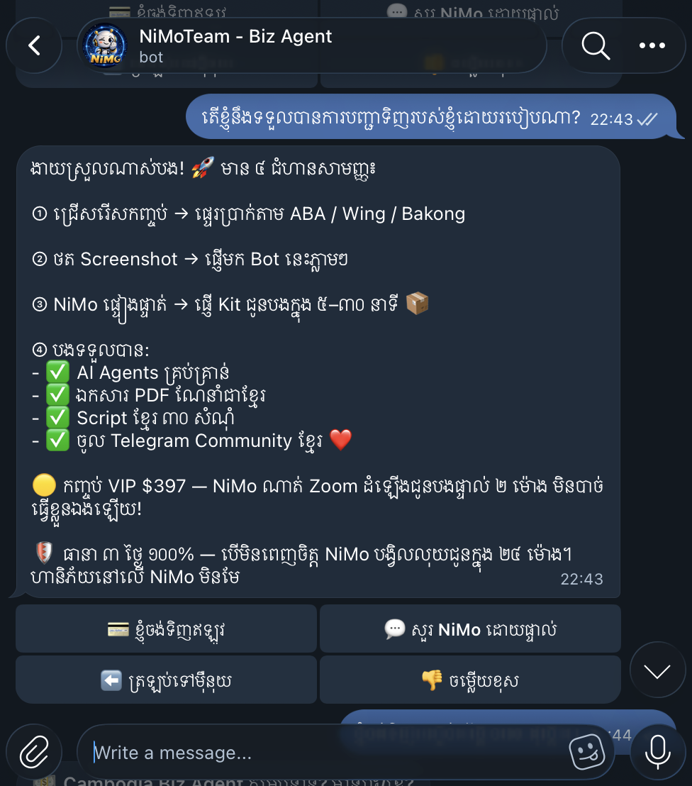 Bot ពន្យល់ — Cambodia Biz Agent